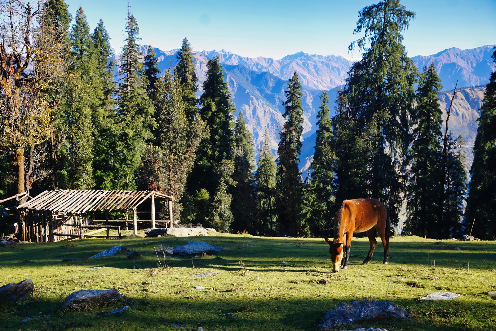 Exploring Uttarakhand
